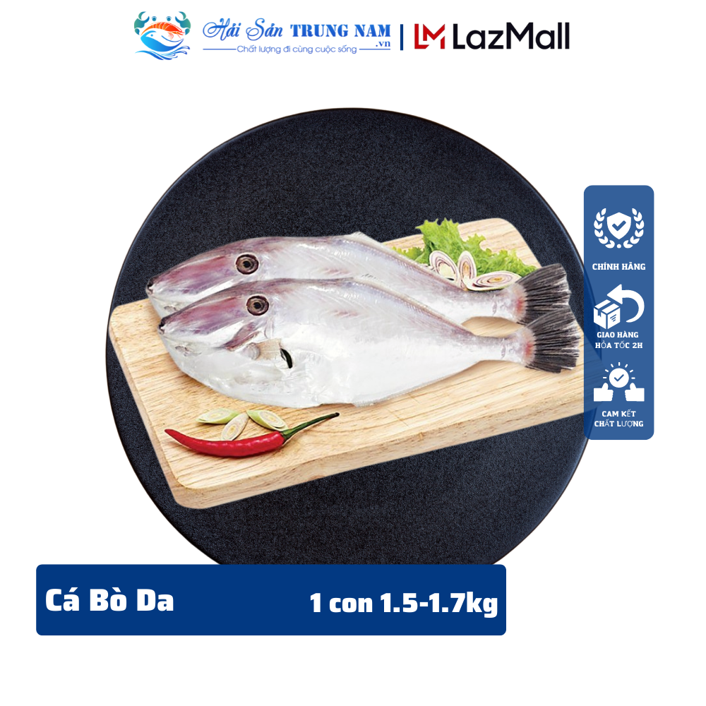 Cá Bò Da Nguyên Con (Size 800g - 1kg/Con)
