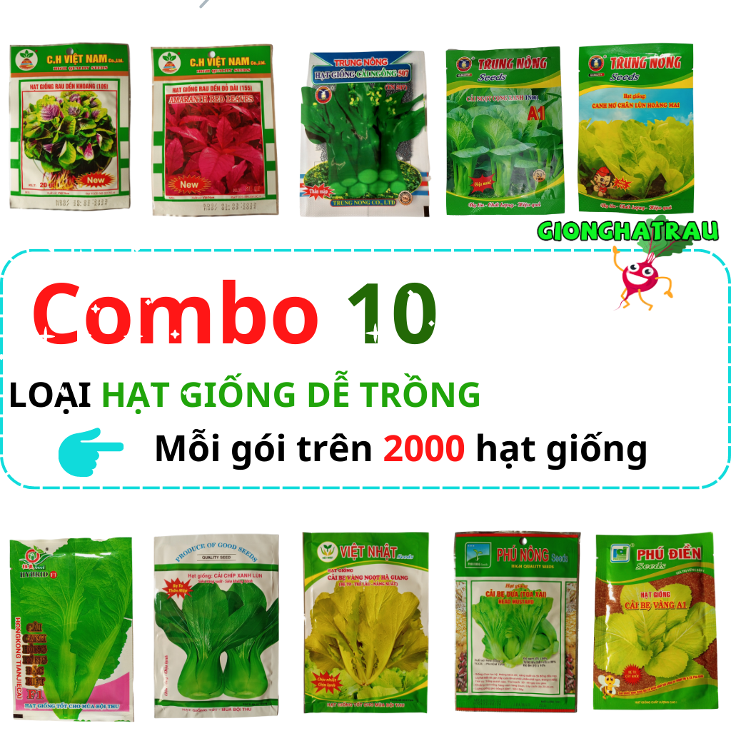 Combo 10 hạt giống rau cải f1 mỗi gói trên 2000 hạt giống dễ nảy mầm shop gionghatrau