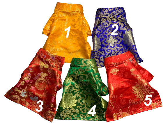 Áo dài cho chó mèo, áo tết cho thú cưng