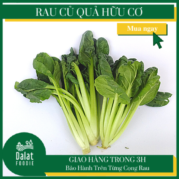 Cải Hoa Hồng 250G - [Giao hàng ngay tại TPHCM]