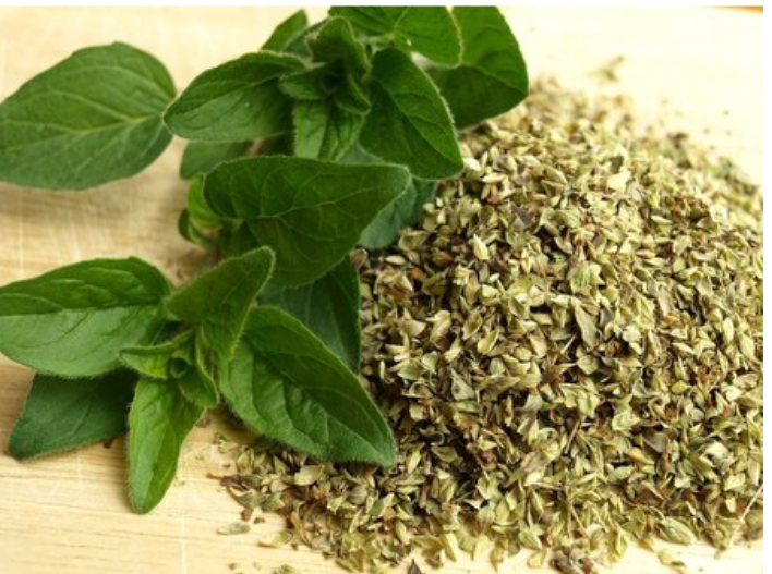 Lá Kinh Giới Tây - Oregano khô nghiền