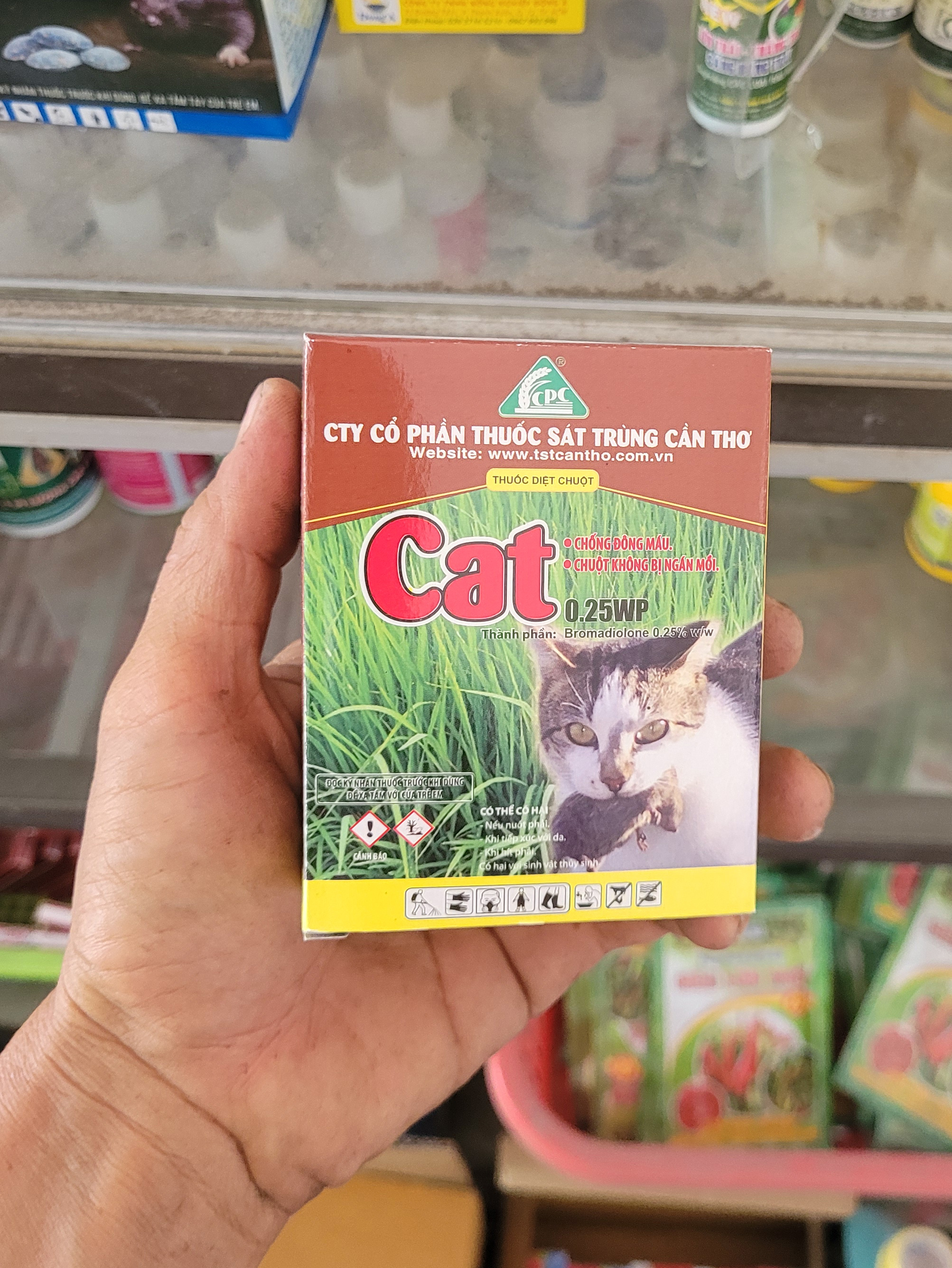 Cat 0.25wp- thuốc diệt chuột – chuột sẽ chết sau 1 lần ăn mồi.