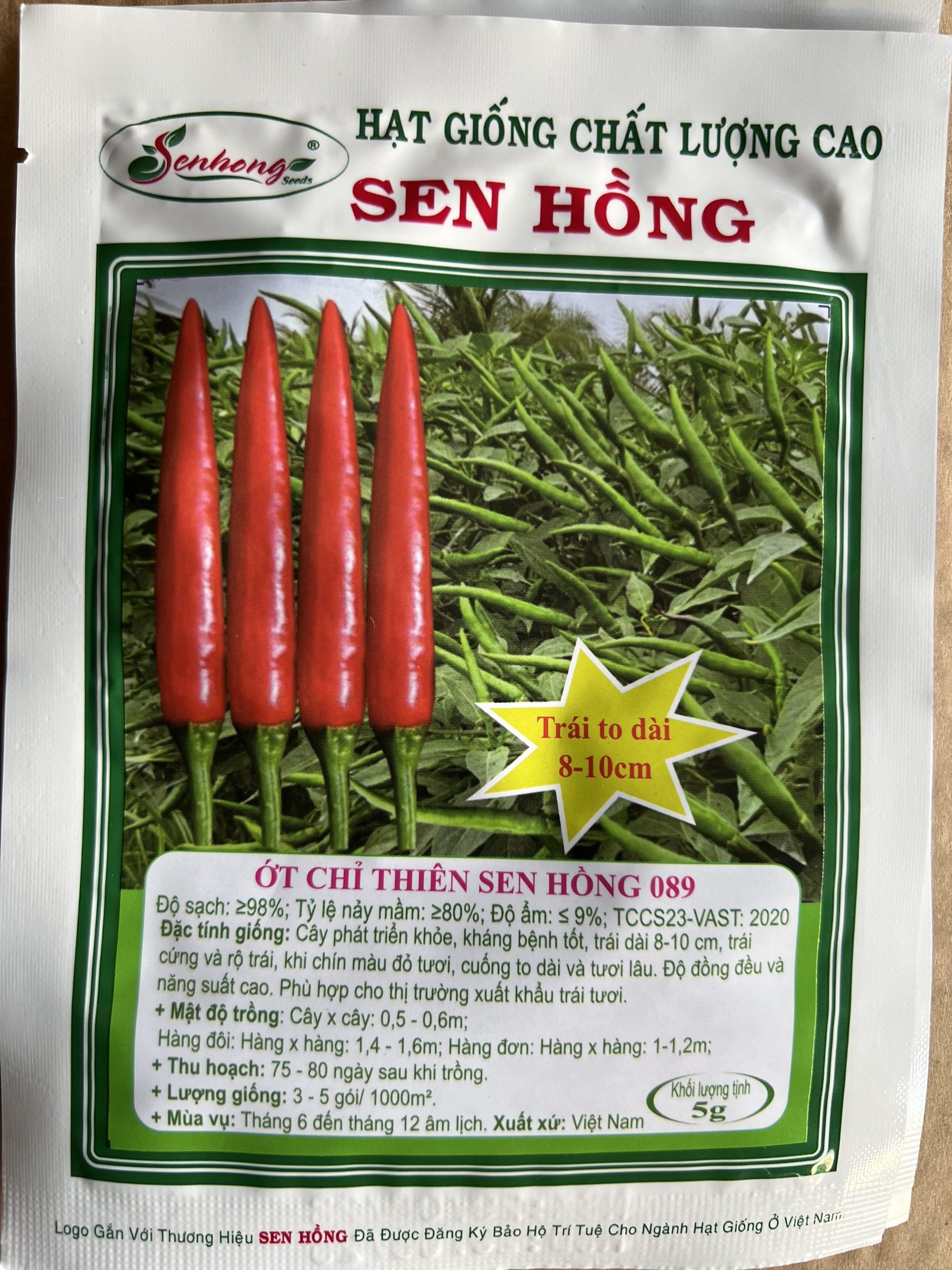 Hạt giống ớt chỉ thiên sen hồng 089