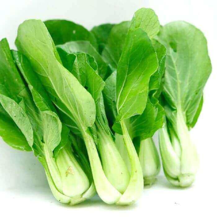 Hạt giống cải chíp
