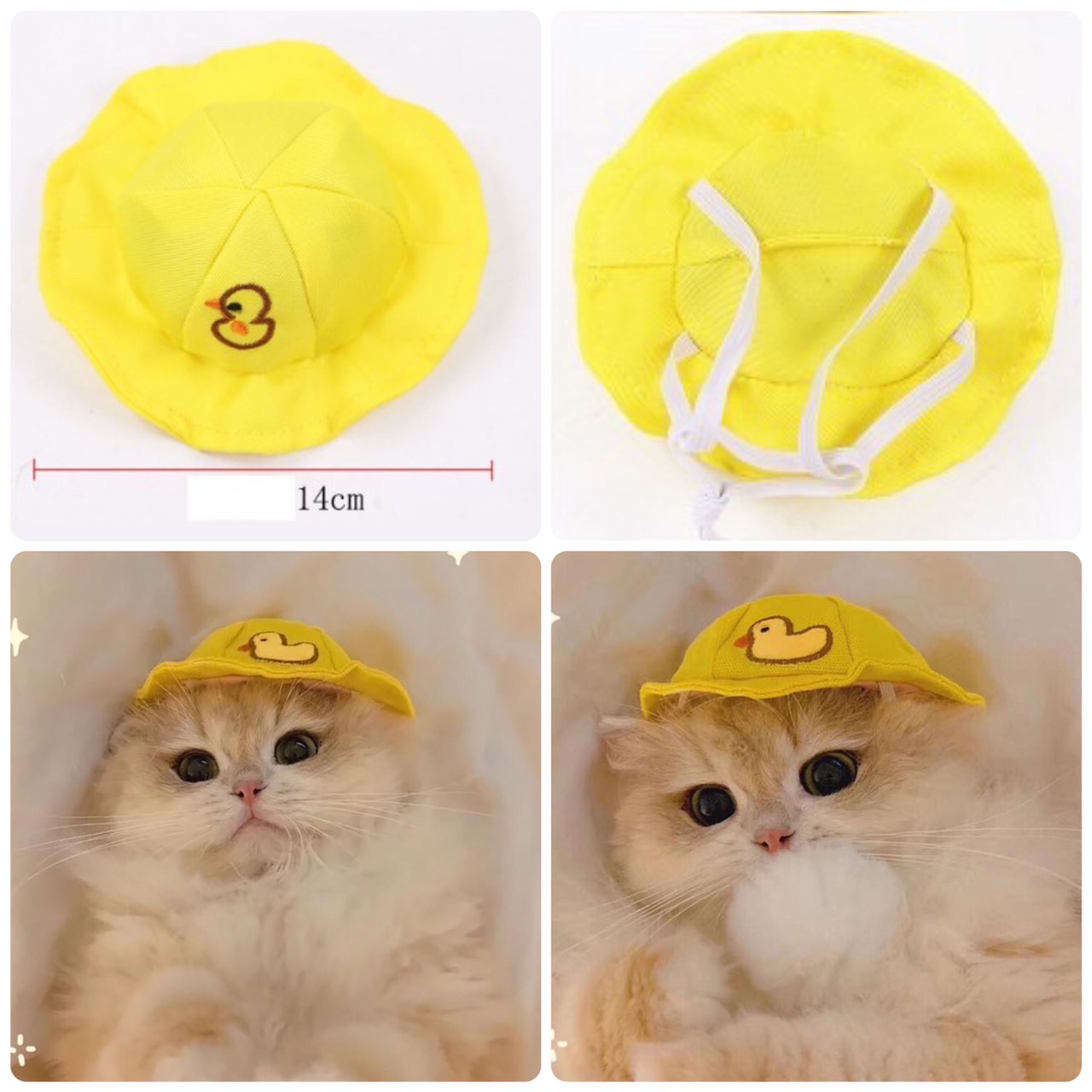 Nón bèo vịt vàng cho chó mèo thú cưng
