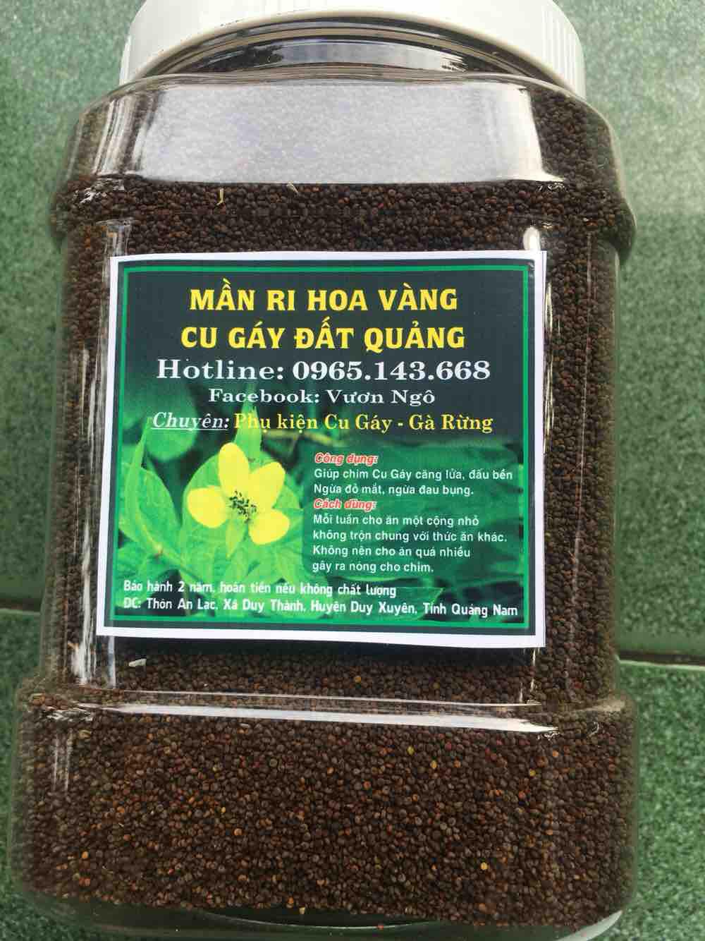 Hạt Mần Ri Kích Lửa Cu Gáy