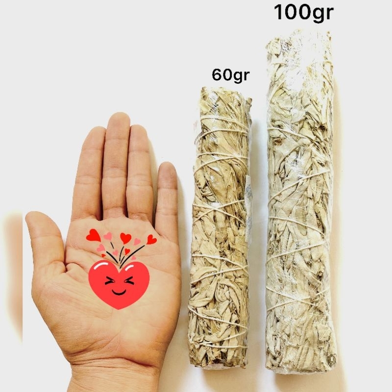 Bó lá xô thơm - xô trắng white sage thanh tẩy - lá sage thanh tẩy không gian, xông nhà - thảo mộc xông nhà.