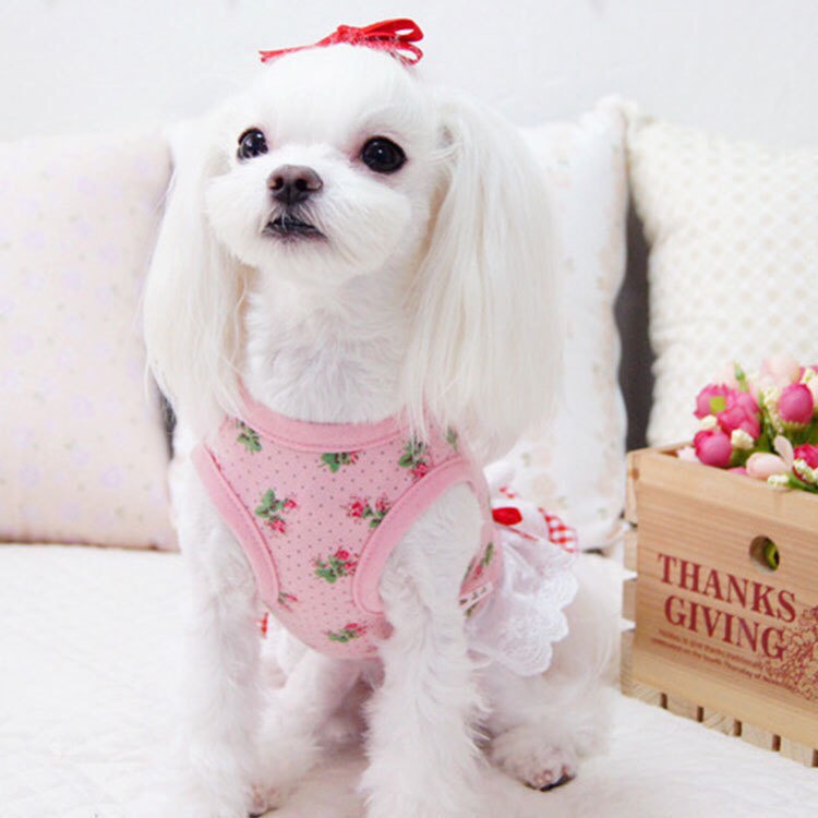 Váy đầm cho chó mèo chân váy phối ren ca rô rất tiểu thư luôn