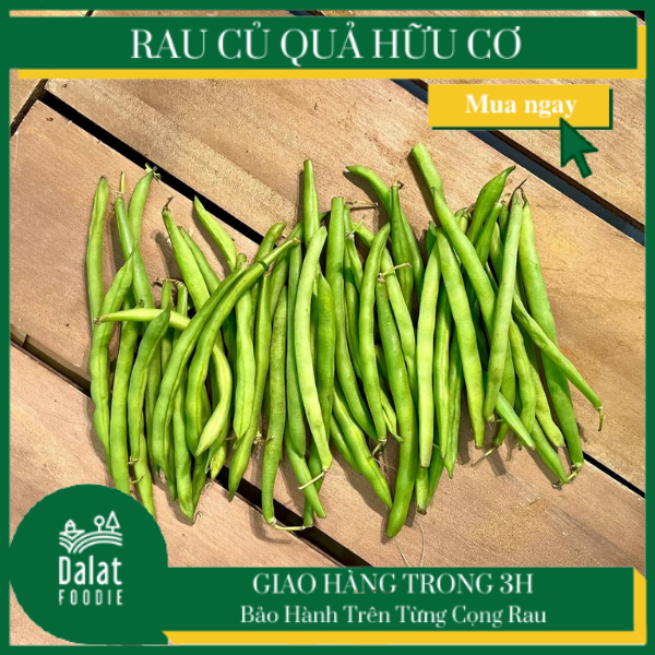 Đậu Cove hữu cơ 300G - [Giao hàng ngay tại TPHCM]