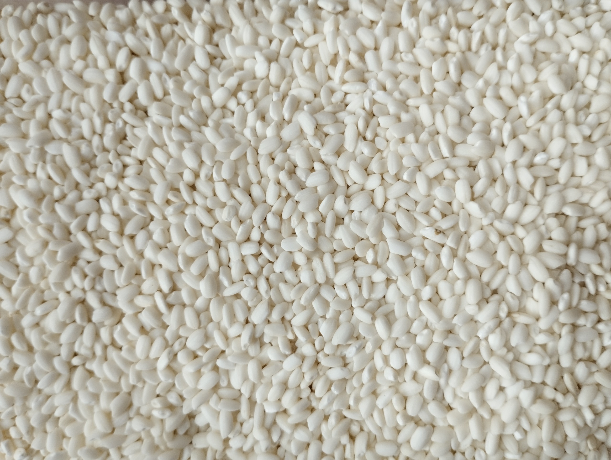 1kg gạo nếp nương - nếp dẻo thơm - nếp ngon chuẩn xịn - bena organic