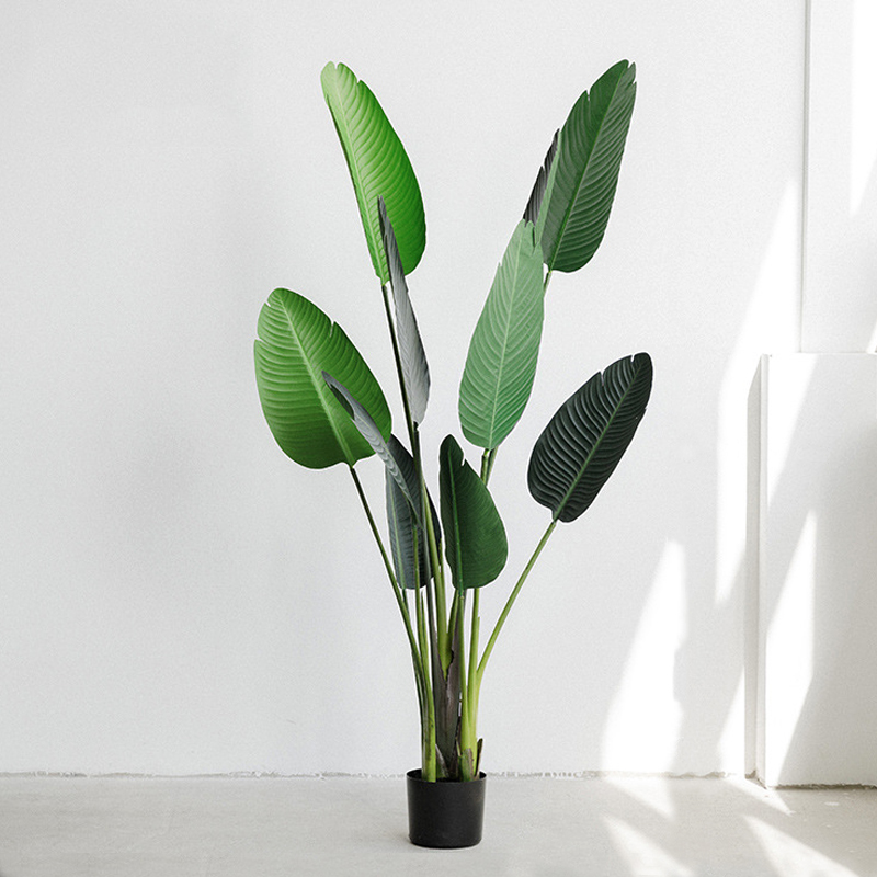 Cây chuối giả bằng nhựa trang trí trong nhà - 160 cm - Jassi Decor