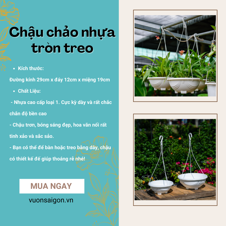 Chậu chảo treo không dây 30x12cm - chậu nhựa tròn treo trồng hoa (Vườn Sài Gòn - Vuon Sai Gon)