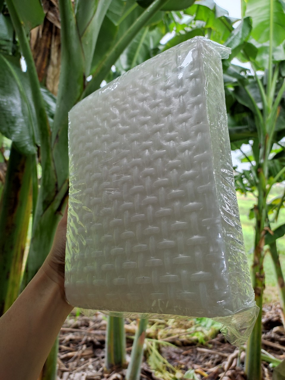 [đặc sản Củ Chi] 1kg Bánh tráng siêu mỏng 220tờ tha hồ cuộn, trộn