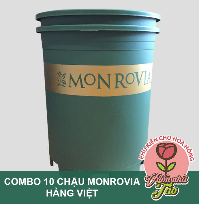 Combo 10 chậu Monrovia 5gl hàng Việt Nam chất lượng cao