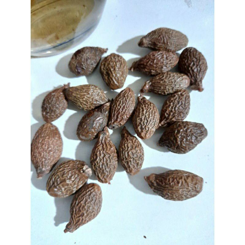 Hạt ươi bay- loại to - 100gr