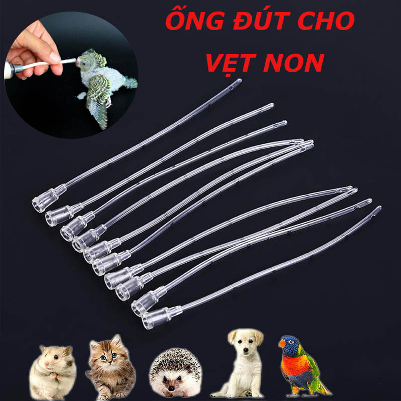 Ống đút chim non,ống đút nhỏ cho chim vẹt non 19k/ ống