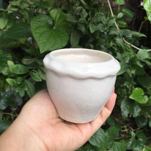 Chậu Sứ Mini Trồng Sen Đá, Xương Rồng Các Loại