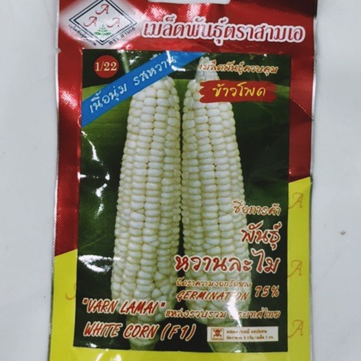 Hạt giống ngô/bắp nếp trắng nhập thái lan nguyên gói 20gr_Ngô bắp sữa siêu ngọt dẻo
