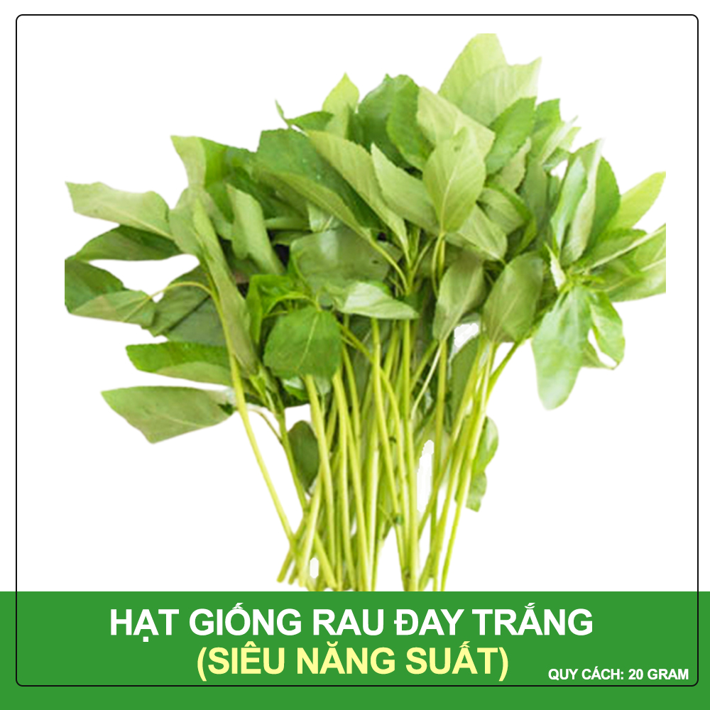 Hạt giống rau đay cao sản phú nông gói 20 gram