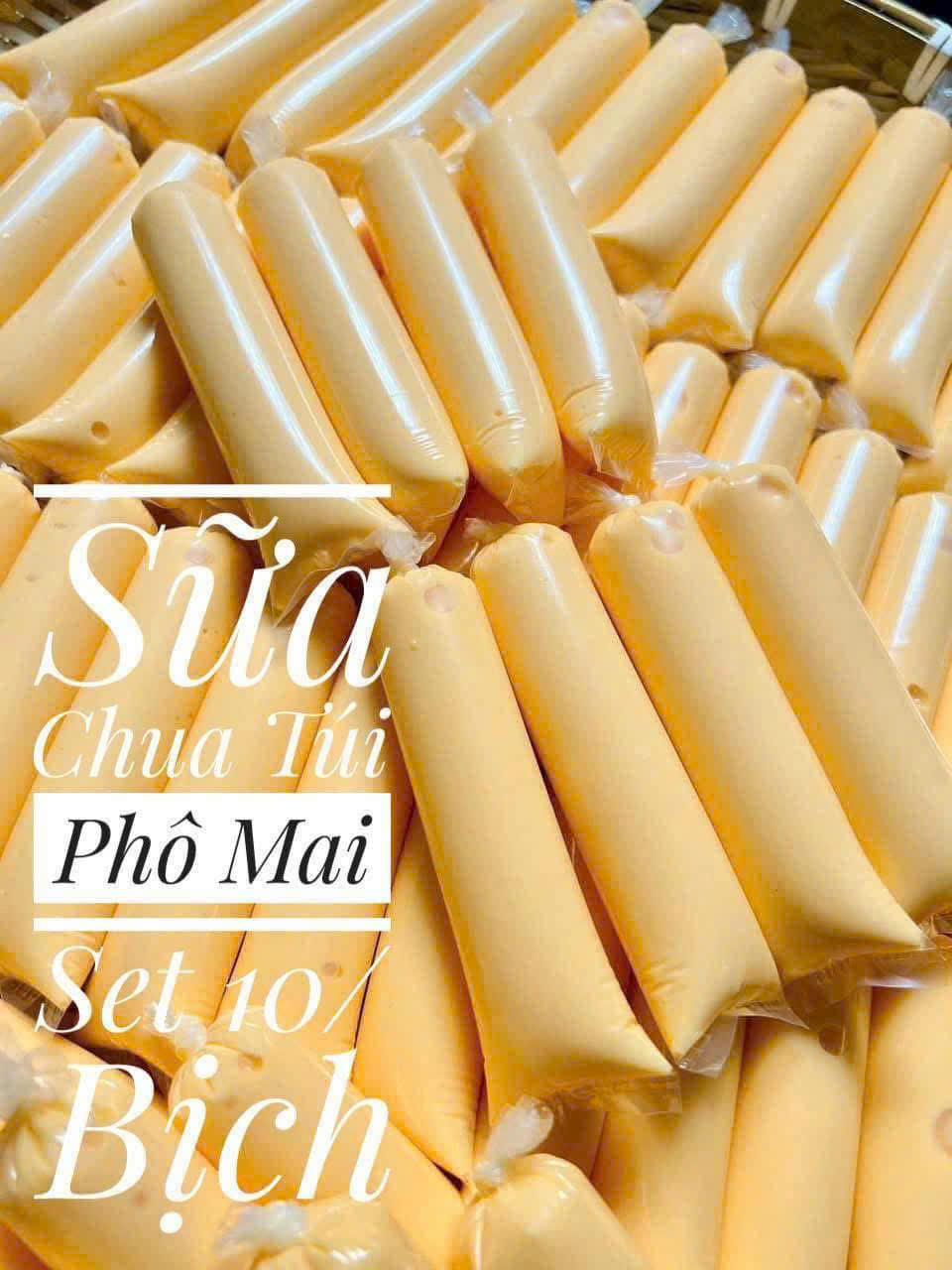 SỮA CHUA MINI VỊ PHÔ MAI NGON SET 10 CÂY (HỎA TỐC GIAO)