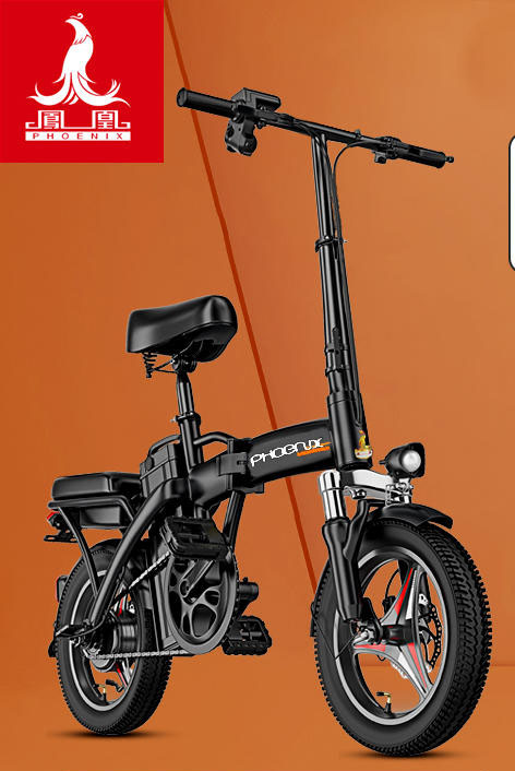 Xe đạp điện gấp gọn borus, phoenix thương hiệu mỹ 15a-20a giá thanh lí