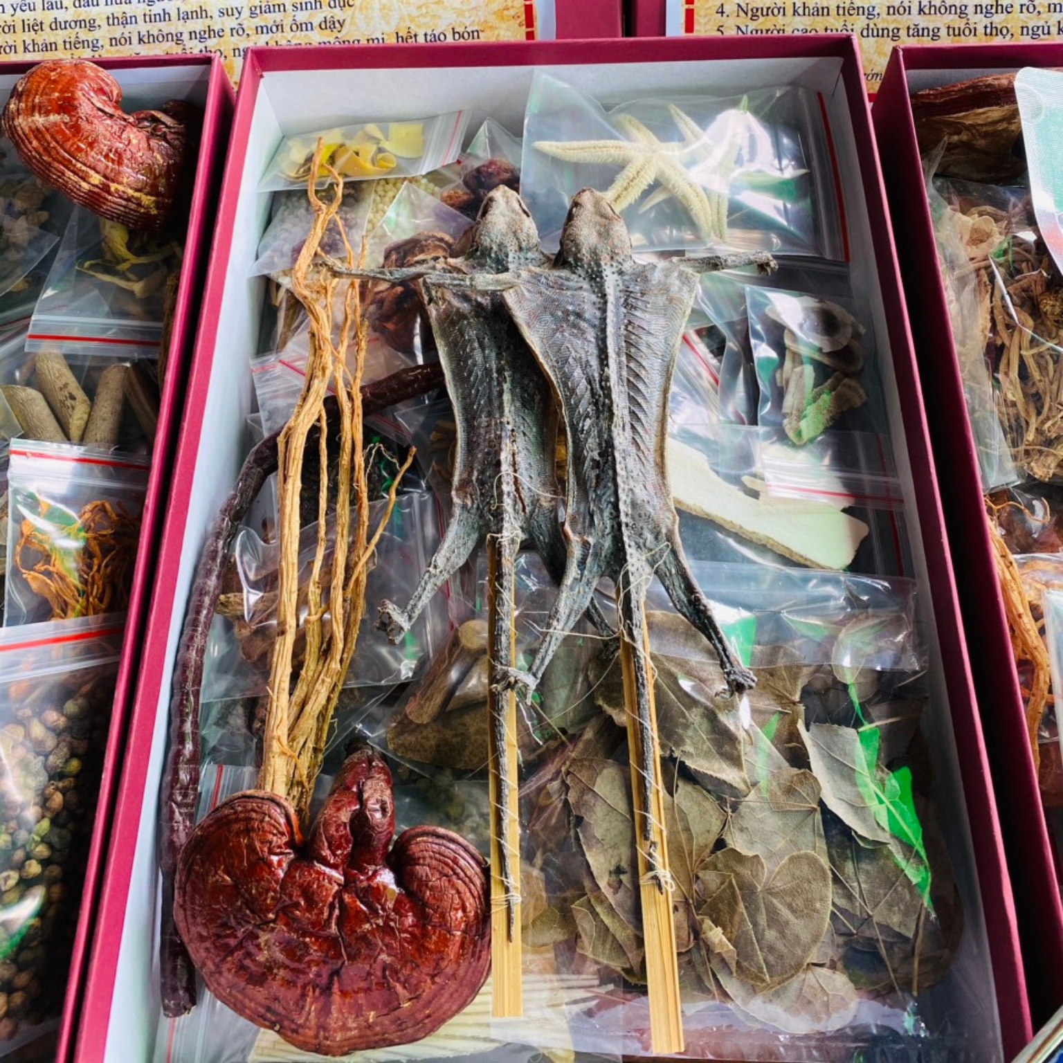 Minh mạng thang 40 vị đặc biệt giúp bổ thận tráng dương, tăng cường sinh lý nam. Đồ ngâm rượu thuốc 