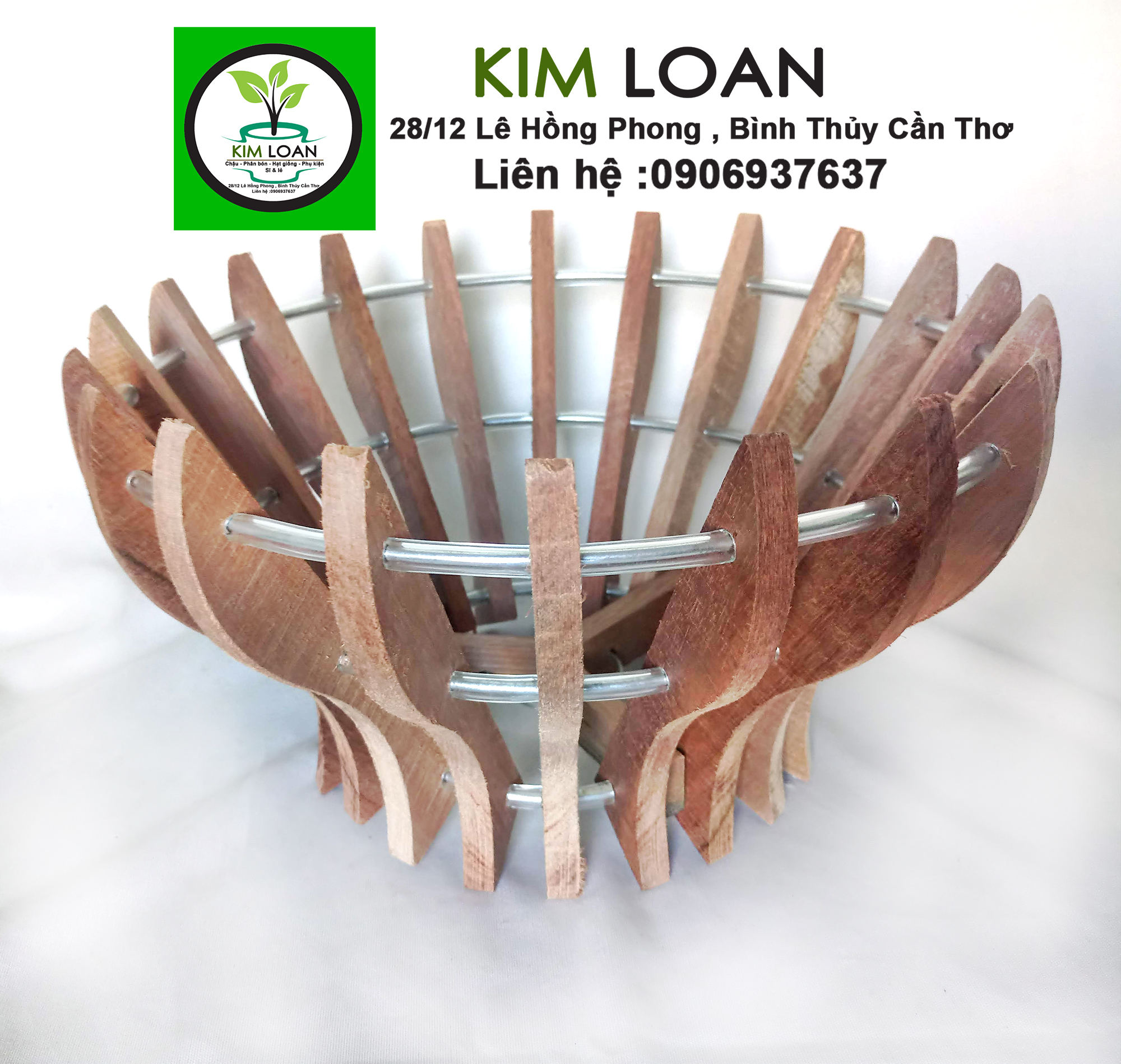 Combo 5 chậu lan gỗ hình cốc 21x15cm