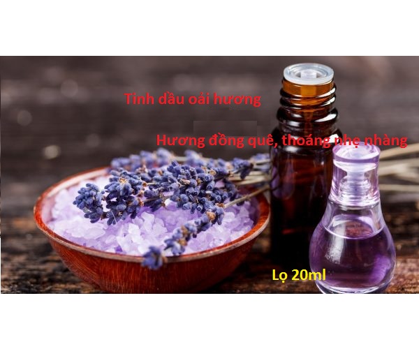 Tinh dầu thơm xông phòng Hoa Oải Hương Lọ 20ml - Tinh dầu tự nhiên
