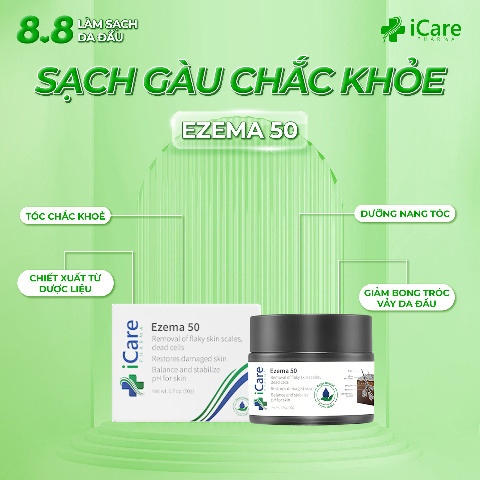 Dược liệu chống nấm tóc, nấm da đầu ezema 50 - chiết xuất dược liệu gurjun ấn độ
