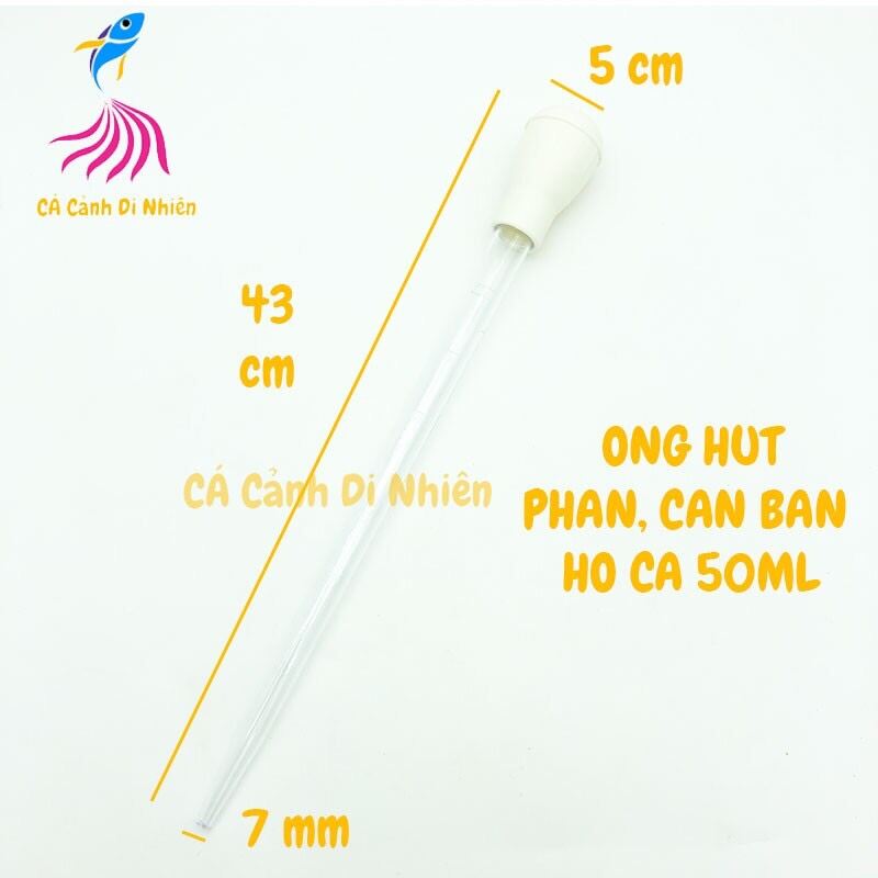 Ống hút phân cá loại lớn 50 ml - hút cặn bẩn hồ cá
