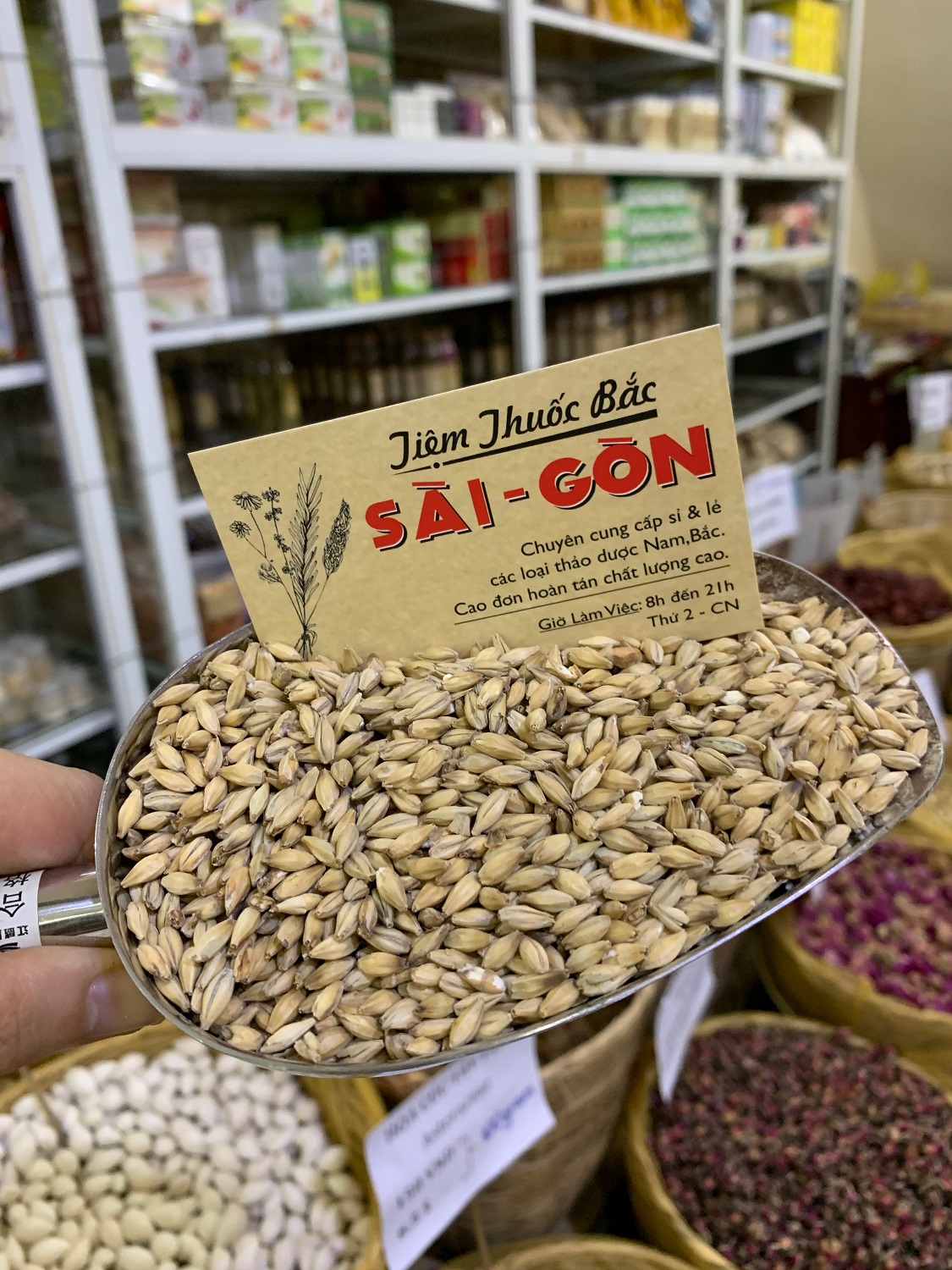 Tiểu mạch hữu cơ 100gram tiệm thu.ốc bắc sài gòn