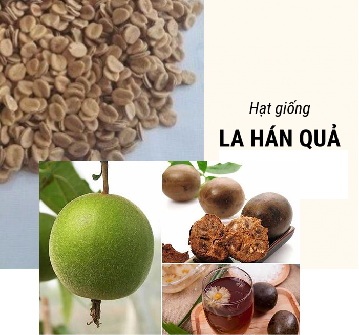 Hạt giống cây la hán quả -