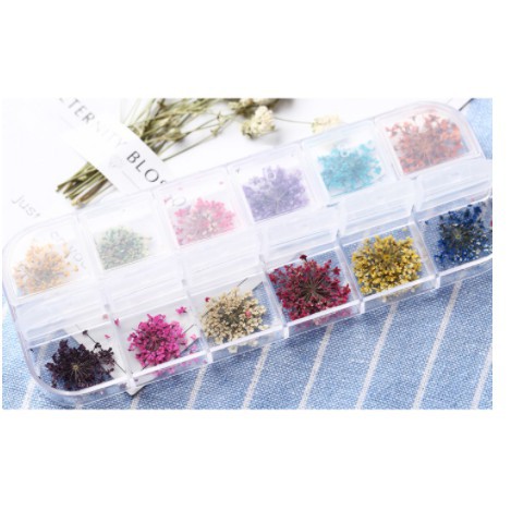 Set hoa khô nail chùm 12 màu -phụ kiện nails minh anh