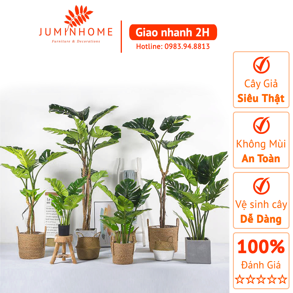 Cây Trầu bà lá xẻ Monstera, cây lá rùa - Cây giả Decor trang trí nhà cửa nội thất phòng khách, phòng ngủ