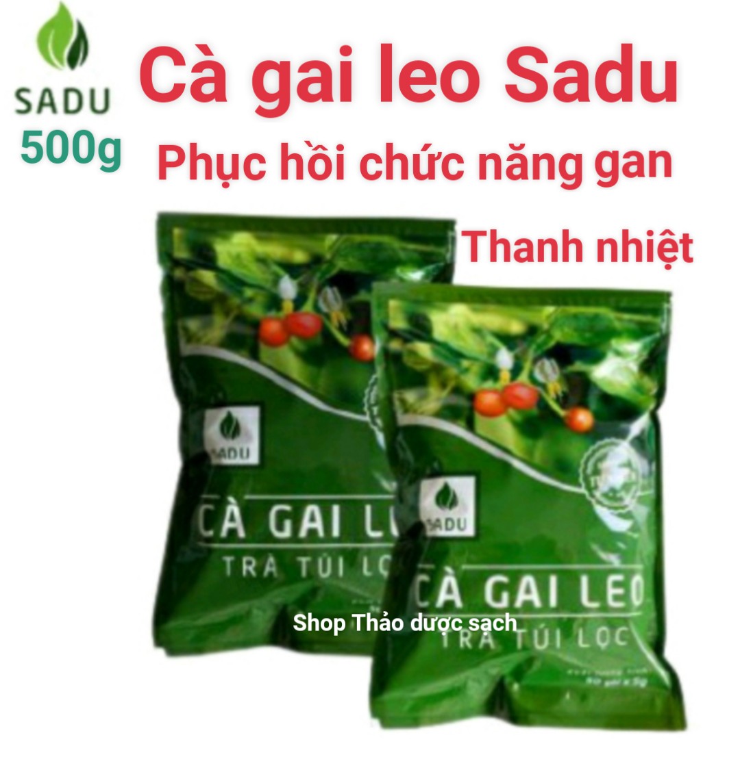 TRÀ TÚI LỌC CÀ GAI LEO SADU 500g ( 100 TÚI LỌC)-MÁT GAN-GIẢI ĐỘC GAN