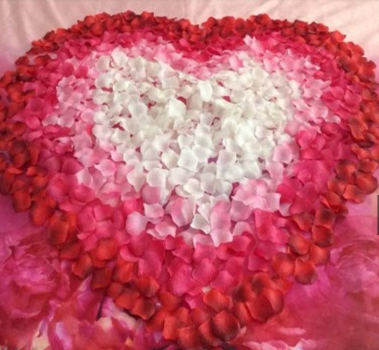 Combo 200 Cánh Hoa Hồng Giả Bằng Vải Lụa Rải Sàn Trang Trí Tiệc Cưới