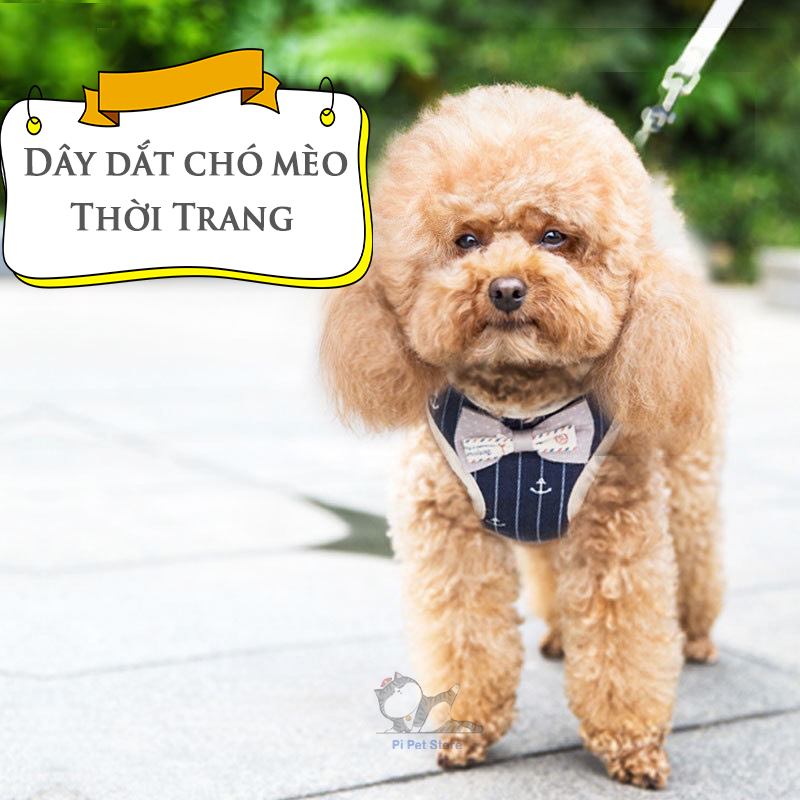 Dây Đai Dắt Chó Mèo Thời Trang - Dây Dắt Chó Mèo Buộc Nơ - Pi Pet Store