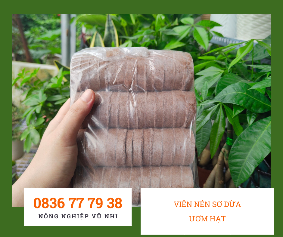 Combo 10 viên nén sơ dừa ươm hạt giống - hatgiong24h