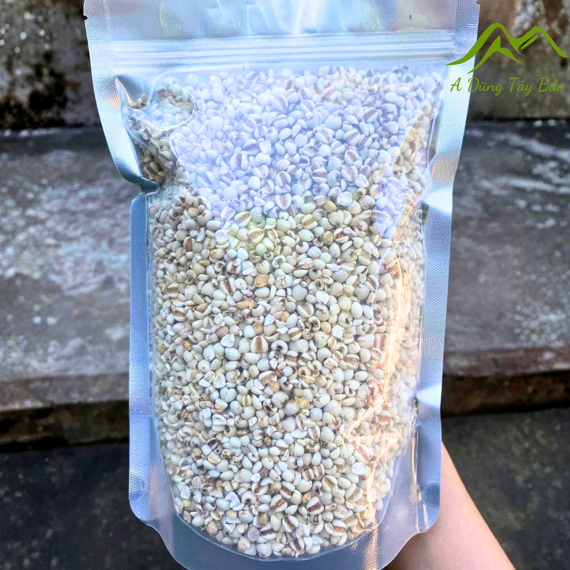 Hạt ý dĩ nếp, bo bo nếp hạt to loại 1 (500g, 1kg) Tây Bắc nấu cháo, nấu chè, làm sữa hạt, hầm gà, canh bổ dưỡng