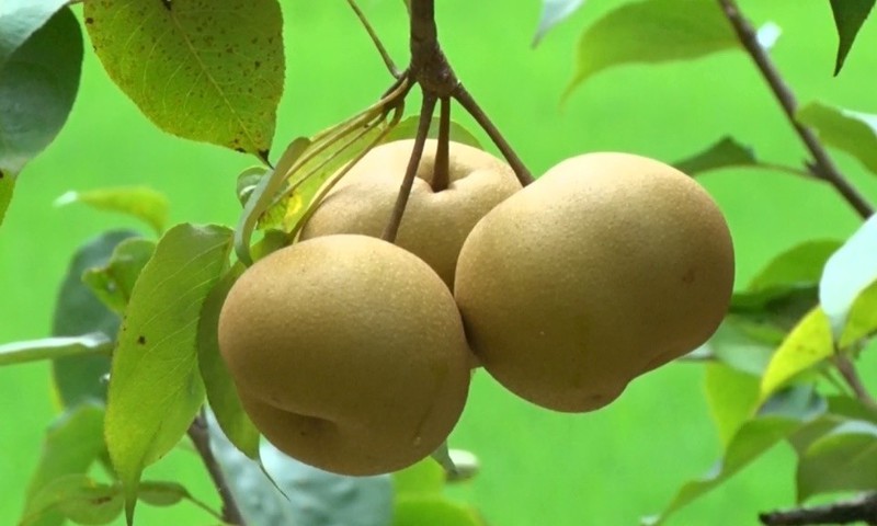 fg2zLmVc6UsJZbWYTxLa_simg_d0daf0_800x1200_max.jpg