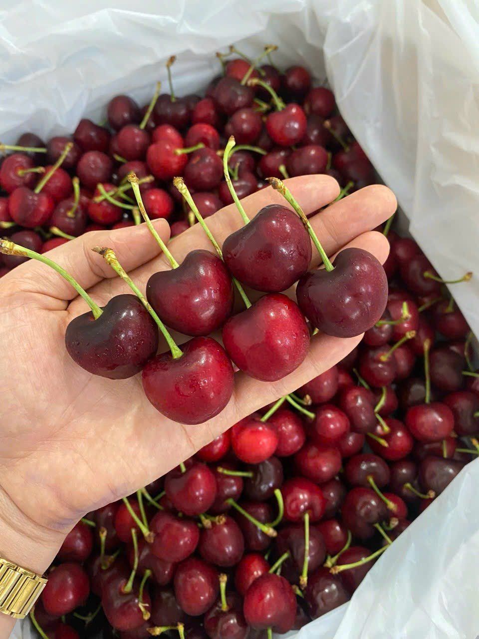 [HOẢ TỐC HCM] Cherry Mỹ size 9.5 - Thùng 2.5kg