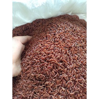 Gạo lứt Đỏ dẻo Điện Biên dẻo thơm gói 1kg