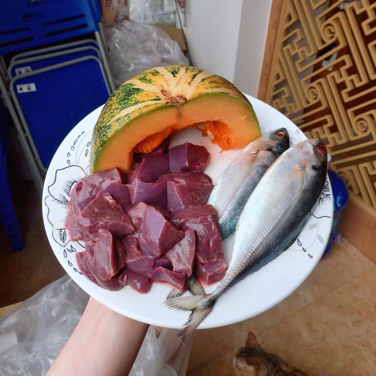 Pate cho mèo tổng hợp vị cá đặc biệt