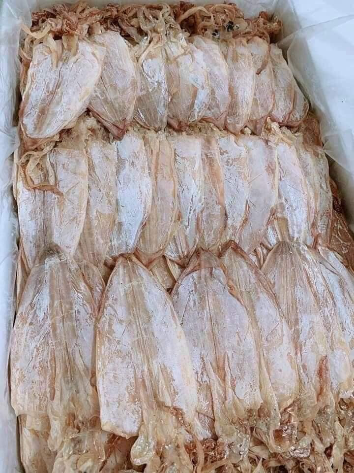 Mực câu cát bà loại 1