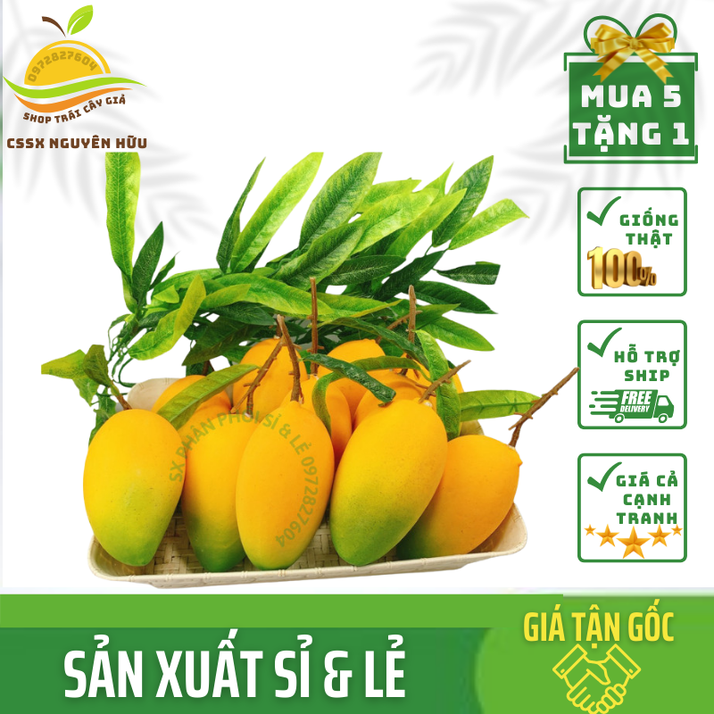 Trái Giả - Trái Xoài 15*10 cm Mô Hình Việt Nam Công Nghệ Thái Lan