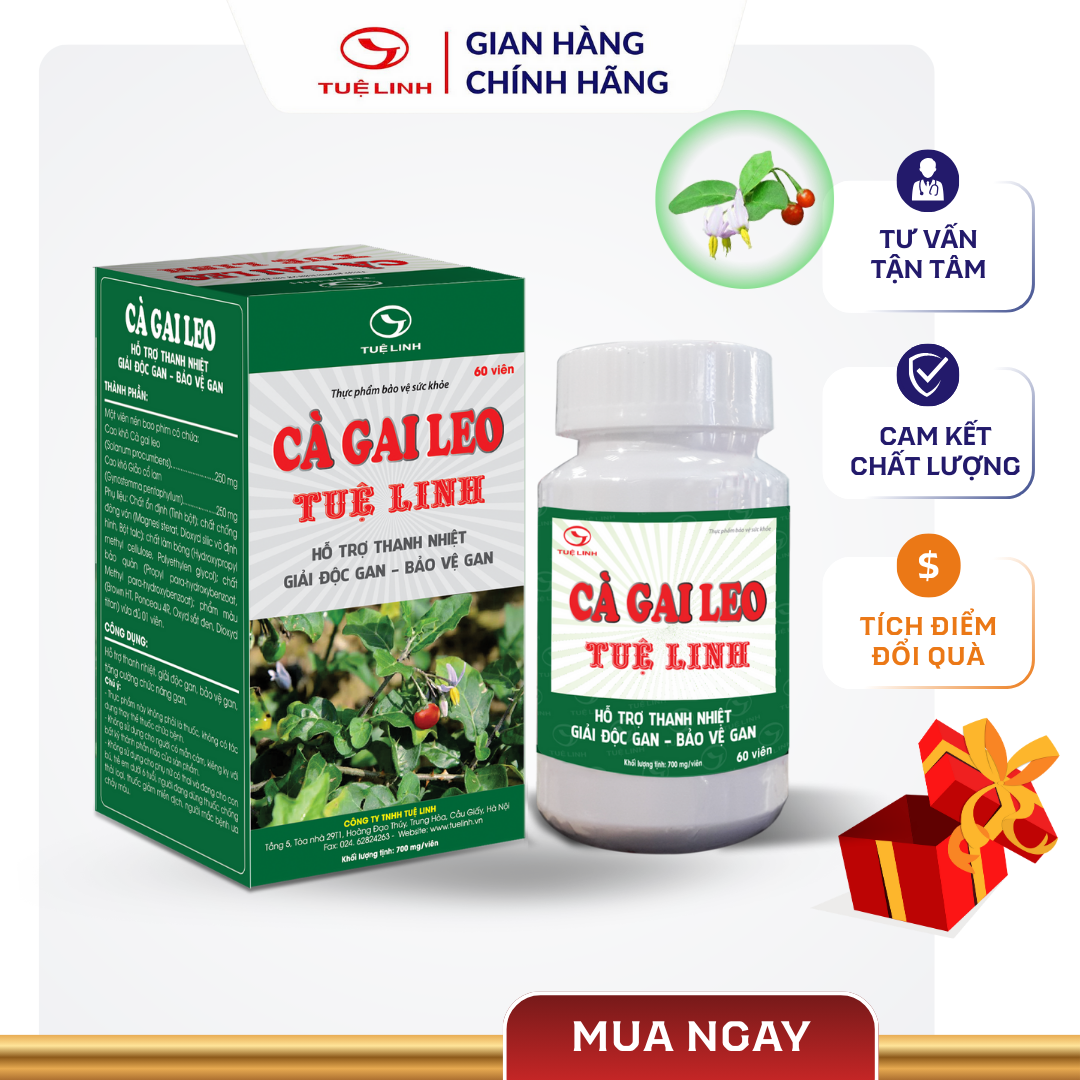  Cà Gai Leo Tuệ Linh Chính hãng - Giúp bảo vệ tăng cường chức năng gan giải độc gan - Hộp 60 viên 