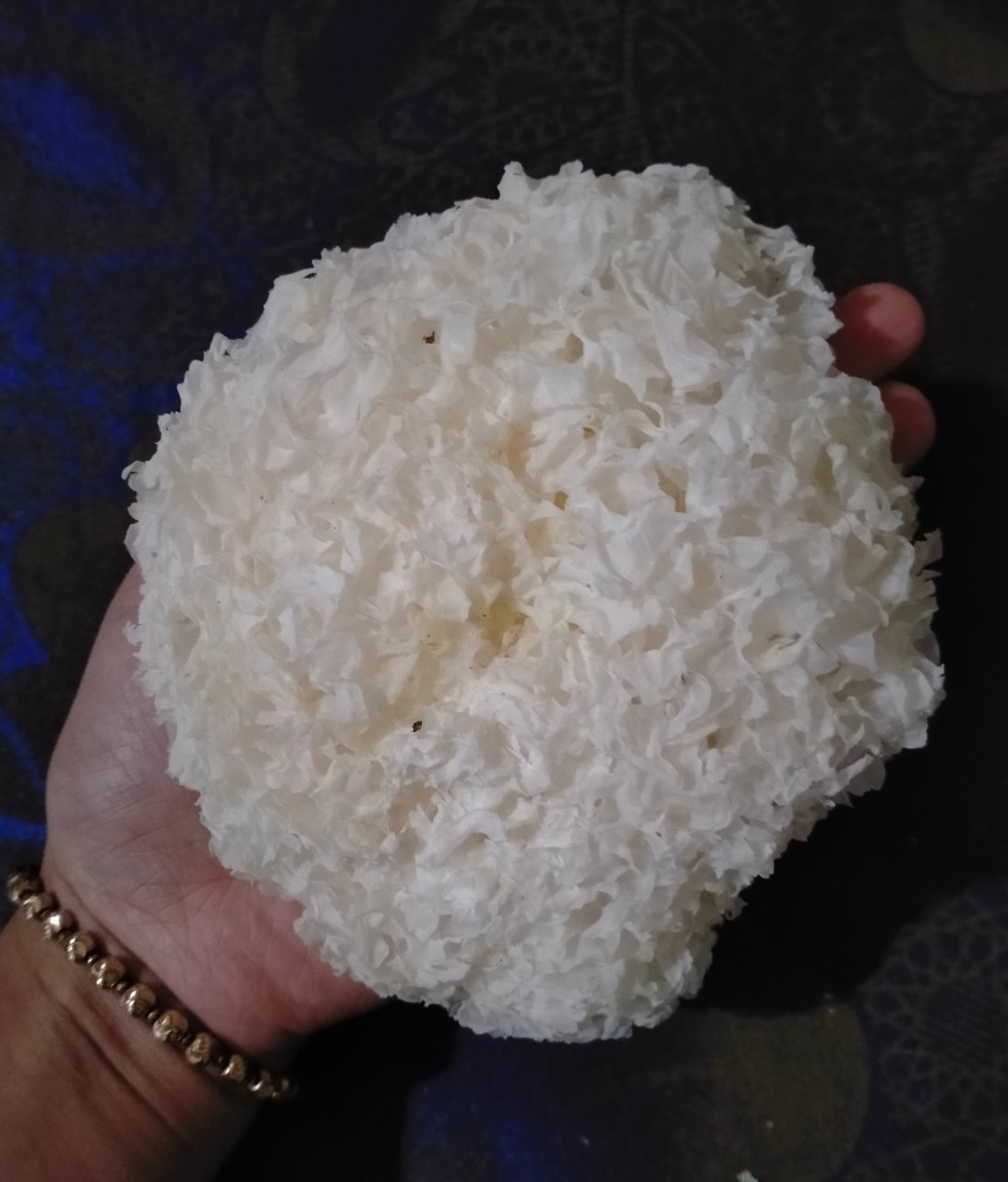 NẤM TUYẾT BÔNG - NẤM TUYẾT NHĨ - NẤM TUYẾT KHÔ- 3 BÔNG NGUYÊN( 100G)