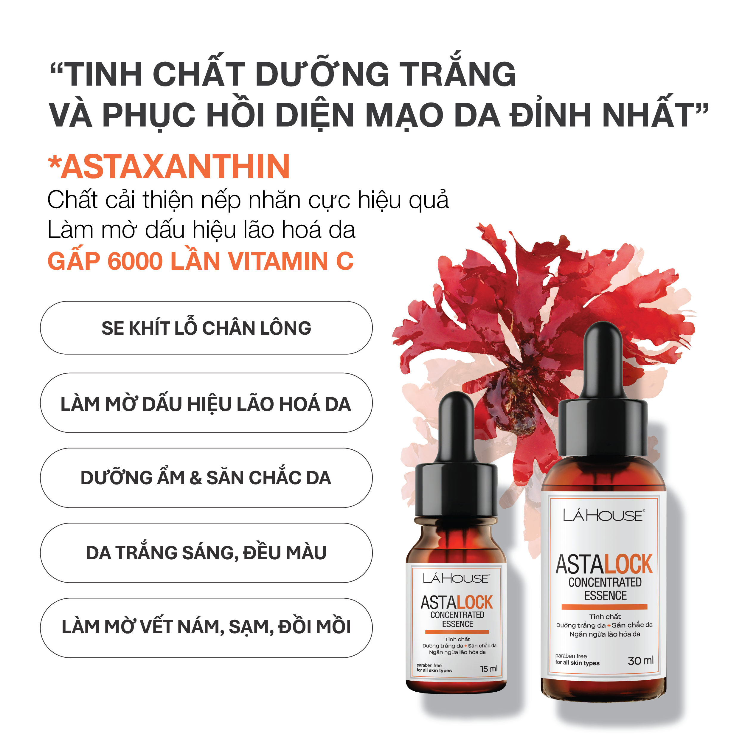 Tinh chất dưỡng trắng da Lá House Astalock Concentrated Essence 30ml