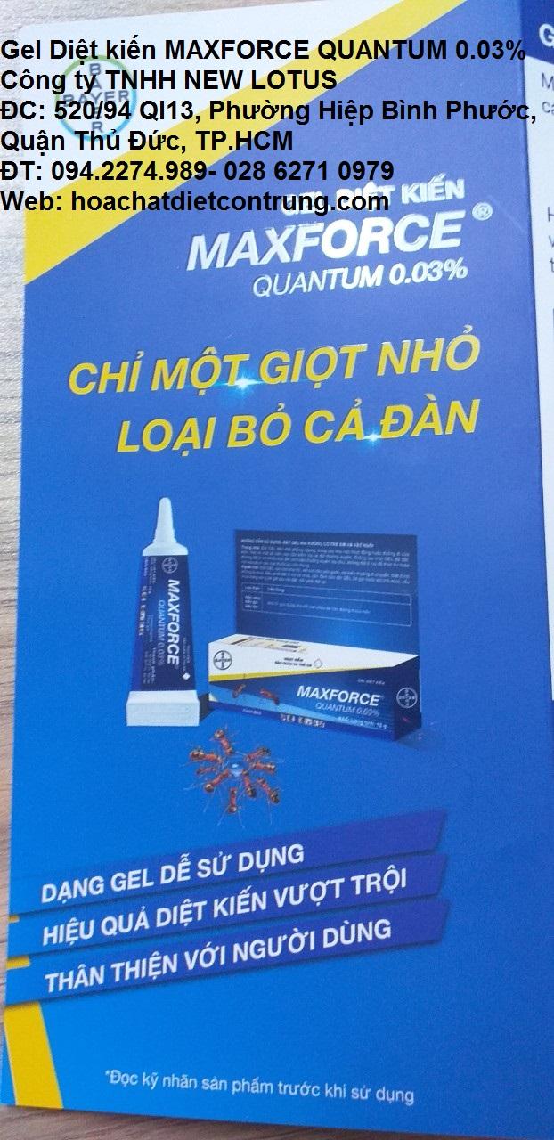 Gel diệt kiến maxforce quantum 0.03% tuýp 12gam