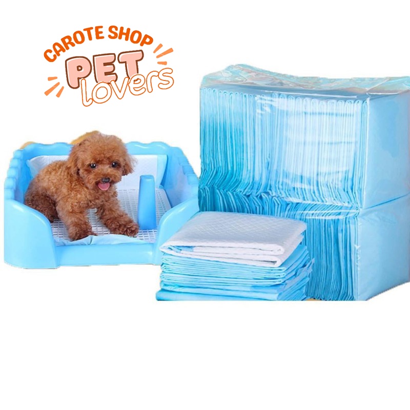 Thảm lót tã lót vệ sinh cho thú cưng doog & caat - carote pet shop